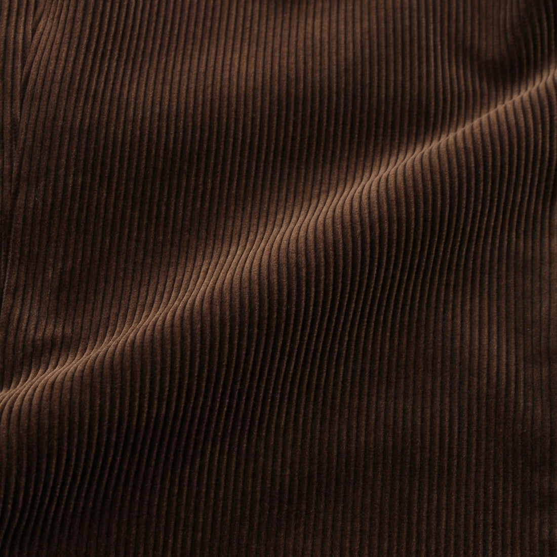 SUVIN PLATINUM Corduroy Tailored Jacket Color: Brown