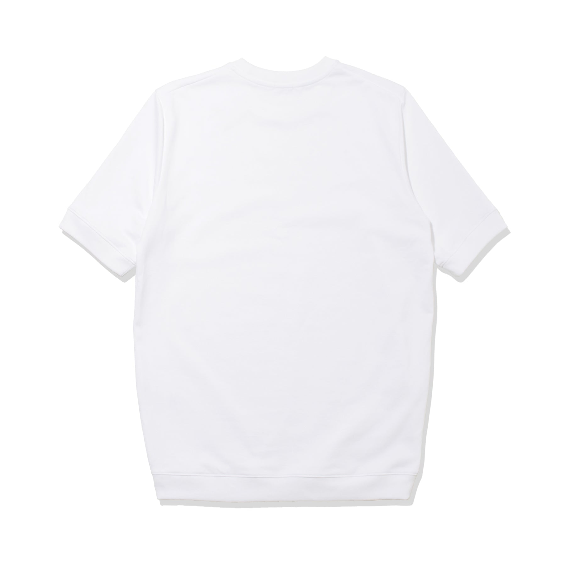 ハイブリッドコットンリブドヘムテーラードTシャツホワイトの背面を写した商品画像