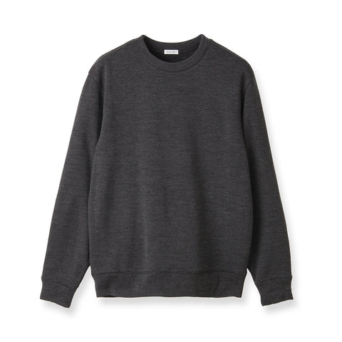Wool Pile Sweatshirt Color: Medium Gray