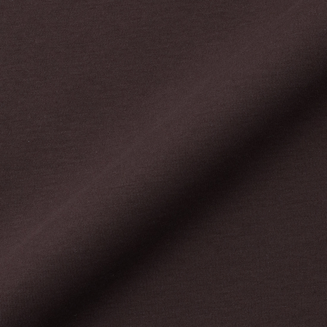 +C定番 Tailored T-shirt Color: Oak