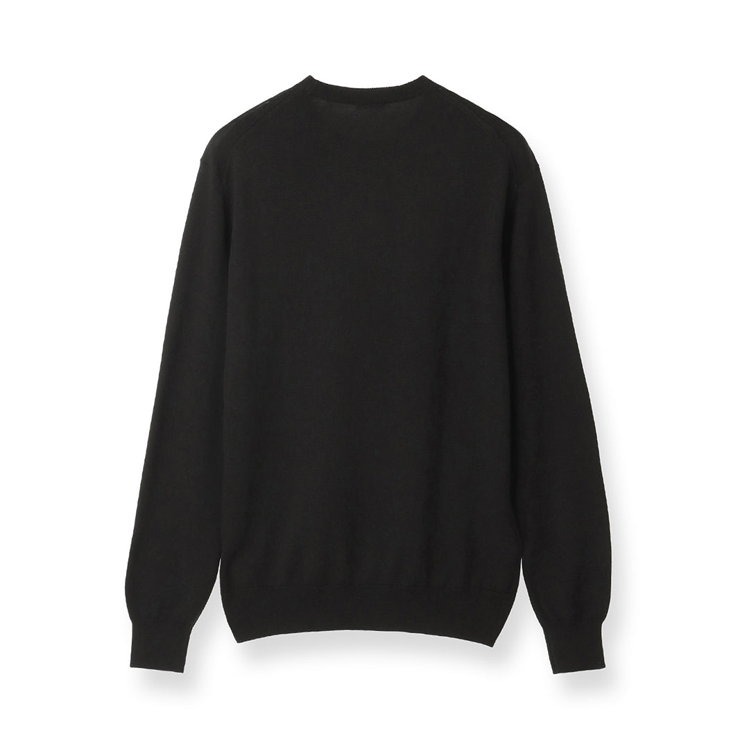 TECHWOOL🄬 Crew Neck Knit Color: Black