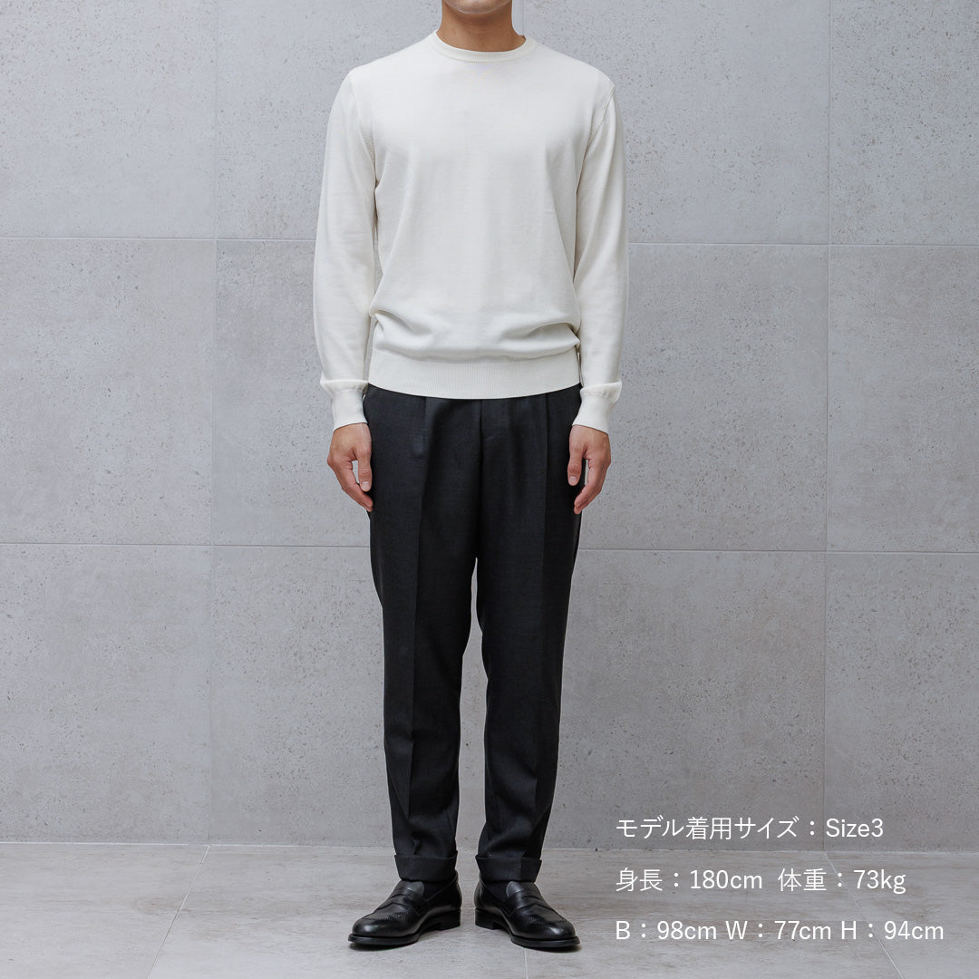 TECHWOOL🄬 Crew Neck Knit Color: Off White