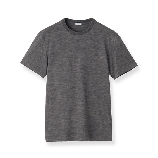 Wool Tailored T-shirt Color: Gray